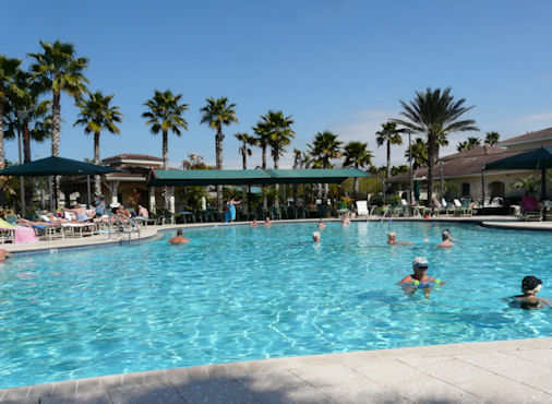 palms around the pool